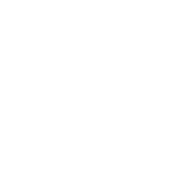 The Accessible Icon Project